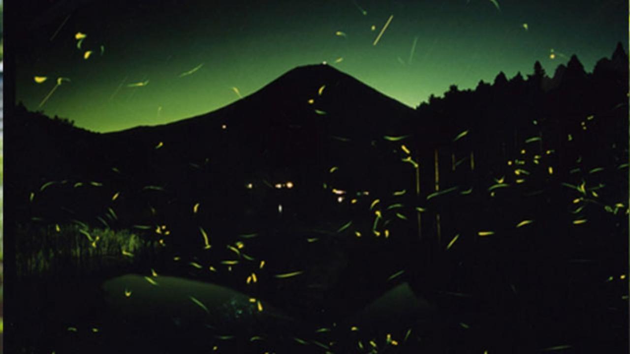 Kyukamura Fuji 후지노미야 외부 사진